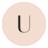 understance logo